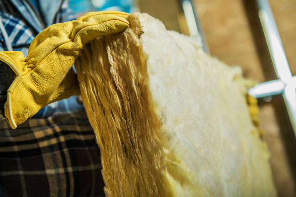 Best Insulation Maintenance and Repair in Round Rock, TX